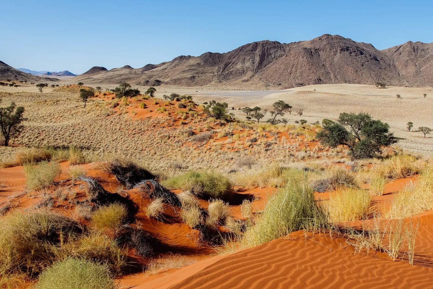 Пустыни и полупустыни города. Пустыни и полупустыни города. Тропические пустыни африки. Аральское море пустыня. Намибия пустыня намиб.