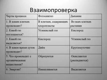 Таблица фотосинтез дыхание 6 класс