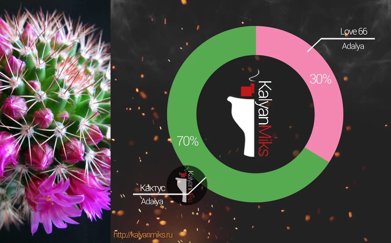 Рекорд лучшие миксы. Кактус Дарксайд миксы. Миксы для кальяна. Миксы табака для кальяна с кактусом. Кальянные миксы с кактусом.