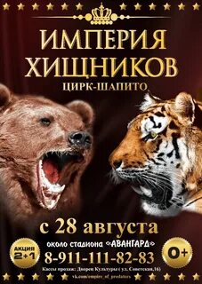 Цирк хищник