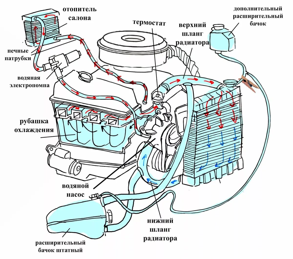 Система охлаждения Тойота 2c дизель. Система охлаждения ДВС схема. Схема системы охлаждения Toyota Hilux. Схема циркуляции охлаждающей Ауди 80.