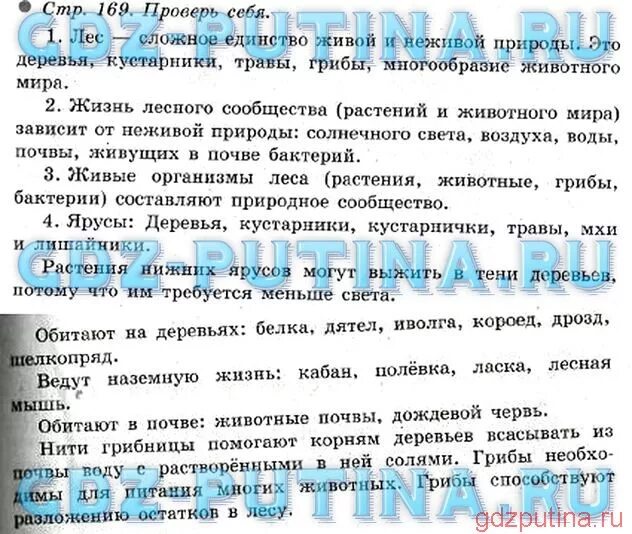 География 7 класс стр 169 вопросы. Гдз по окружающему миру 4 класс проверь себя. Окружающий мир 4 класс стр.126 вопросы и ответы. Окружающий мир страница 126 проверь себя 4 класс. Окружающий страница 169 проверь себя.