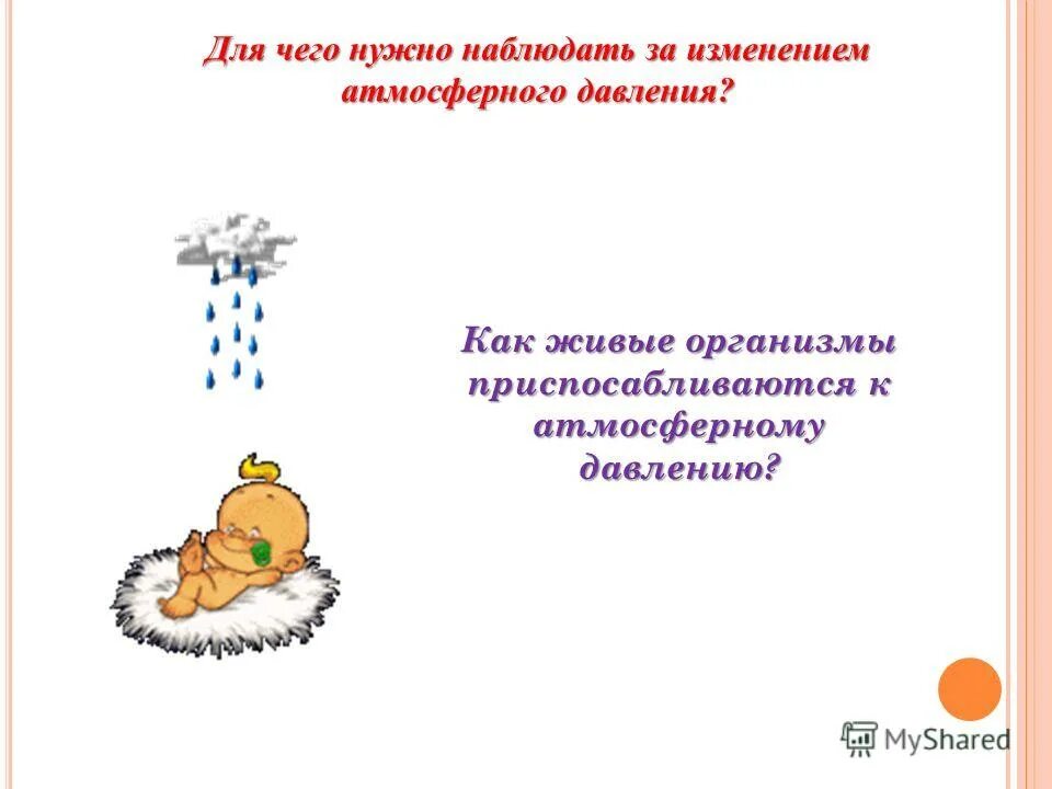 Атмосферное давление и живые организмы. Как атмосферное давление влияет на человека. Перепады атмосферного давления и здоровье человека. Роль атмосферного давления в жизни живых организмов.