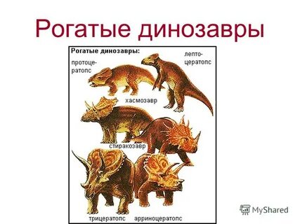 Чей предок