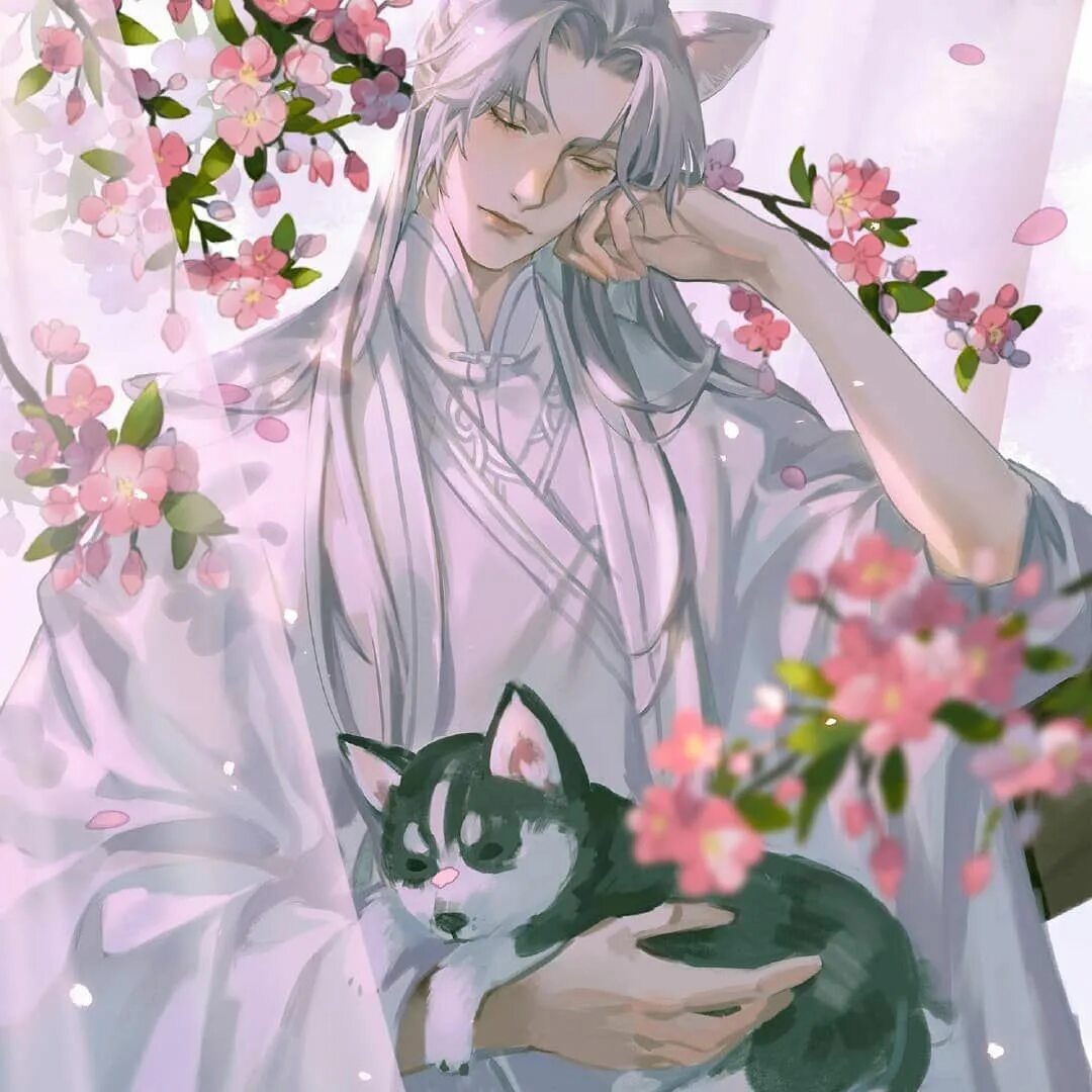 Хаски и его учитель кот эрха. Белый кот шицзунь. husky and his white cat shizun новелла. хаски и его белый кот шицзунь новелла. хаски и его белый кот-шицзунь.