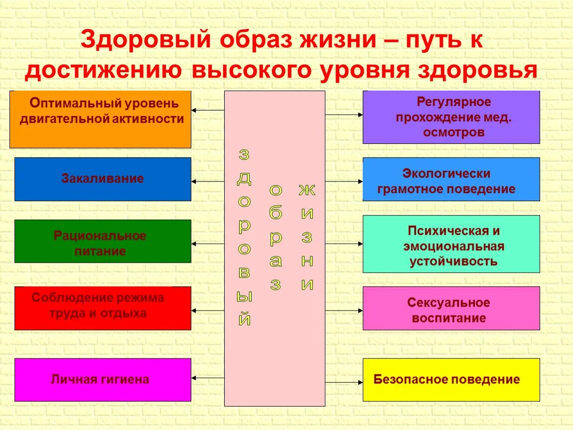 Фактор безопасности здоровье. Основные понятия о здоровье и здоровом образе жизни ОБЖ. Основные составляющие здорового образа жизни ОБЖ 10 класс. Составляющие здорового образа жизни ОБЖ. Составляющие факторы ЗОЖ.