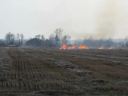 Подготовка к пожароопасному сезону