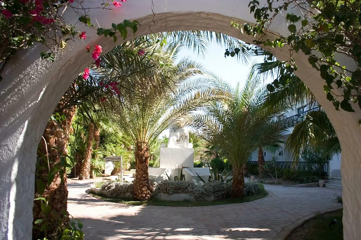Aladdin beach hurghada. Египет Хургада алладин Бич Резорт. Aladdin Beach Resort 4 Египет Хургада. Отель алладин Хургада Египет. Алладин гостиница в Египте.