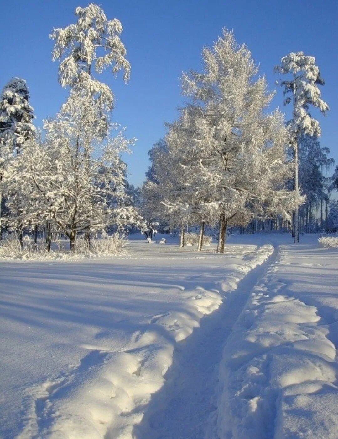 Зимняя дорожка. Снег белая тропа. Зимняя тропинка. Зимняя тропинка. Снежная тропа.