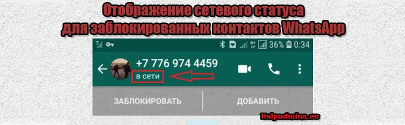 Что видно заблокированному человеку в ватсапе. Если я заблокировала человека в ватсапе вижу ли я его в сети. если человек меня заблокировал в ватсапе увижу ли я его в сети. если человек заблокировал в ватсапе видно ли статус в сети.