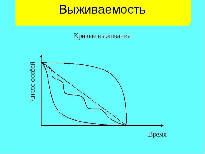 Как выглядит кривая зависимости выживаемости от таких