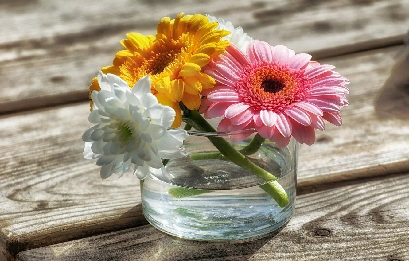 Цветы на памятник. Ваза "женщина". Цветы на 9 мая. Домашние растения. Положим цветы.