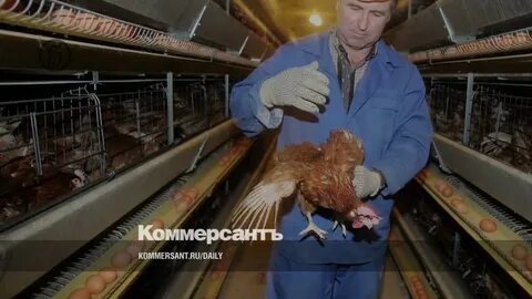 Птицефабрики крыма