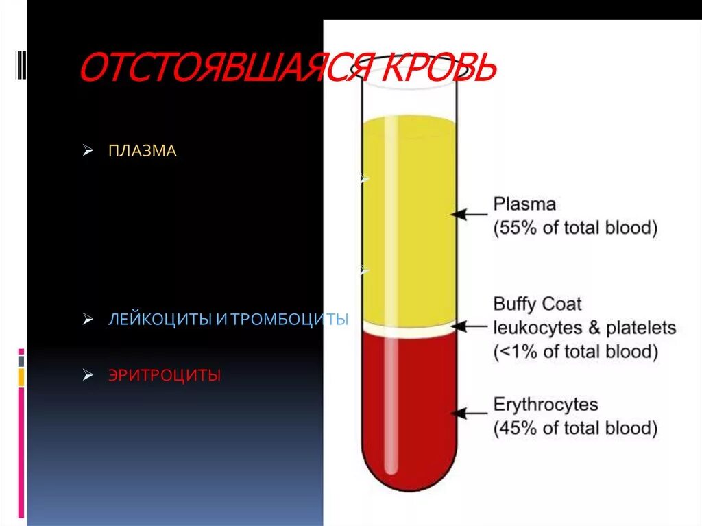 Плазма это кровь. Плазма крови. Кровь плазма крови. Плазма крови рисунок.