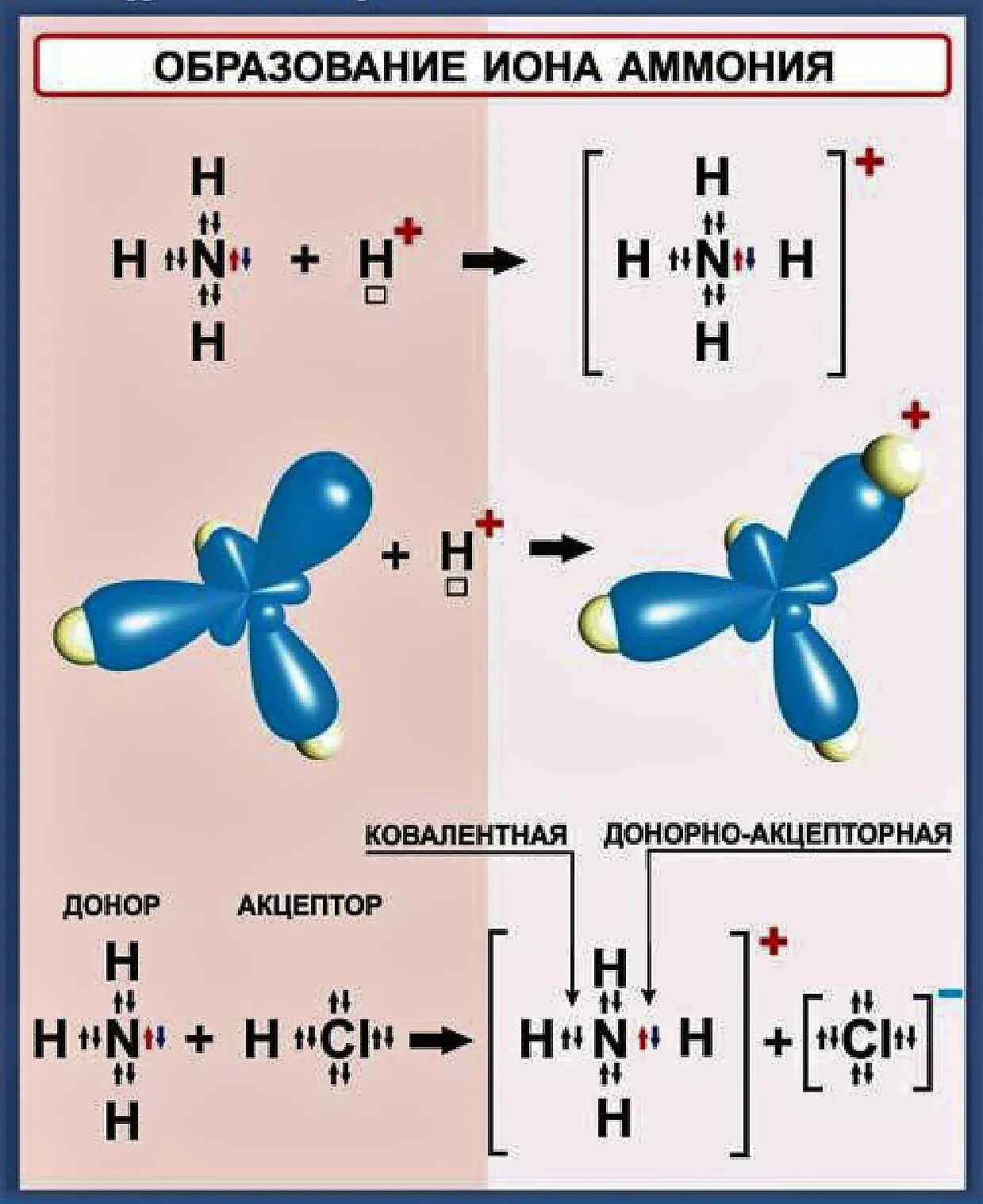 Укажите типы химических связей в соединениях. Механизм образования ковалентной связи Иона аммония. Донорно-акцепторный механизм образования ковалентной связи. Механизм образования Иона аммония nh4 +. Ph4 донорно-акцепторная связь.