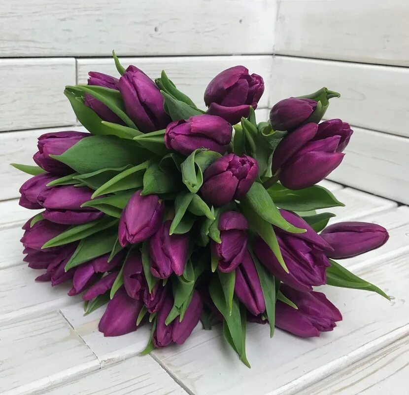 букет 101 тюльпан. фиолетовые тюльпаны букет. 25 фиолетовых тюльпанов букет. тюльпаны орис. фиалковые тюльпаны.