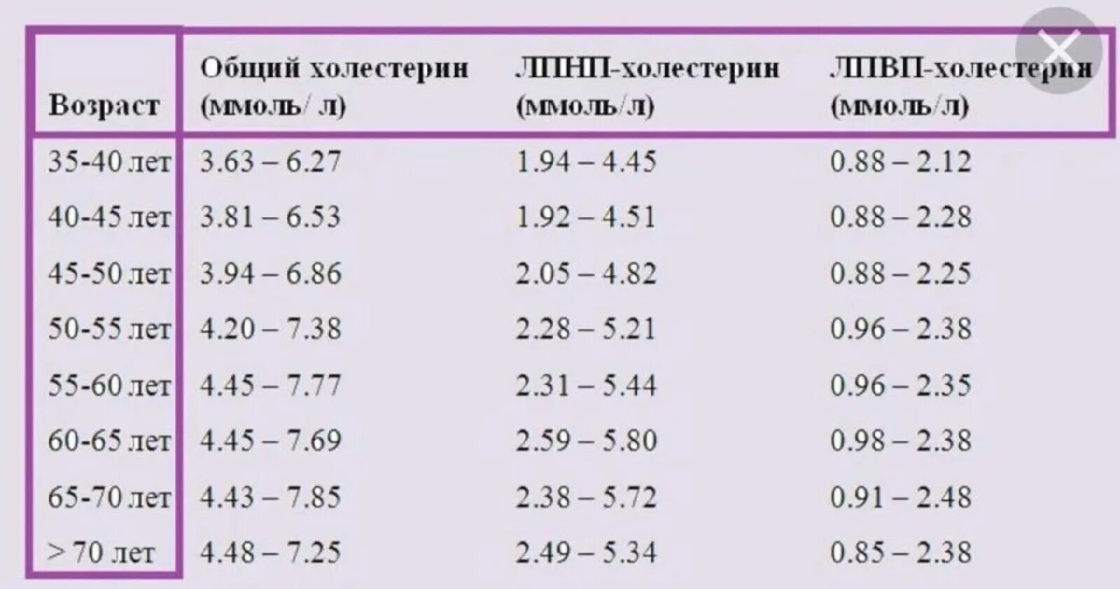 Холестерин есть ли норма