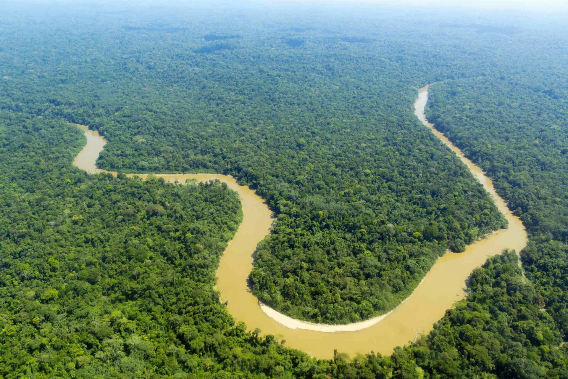 Amazon borneo congo. Амазония река Амазонка. Река Амазонка в Бразилии. Бразилия тропические леса Сельва. Амазонка река Укаяли.