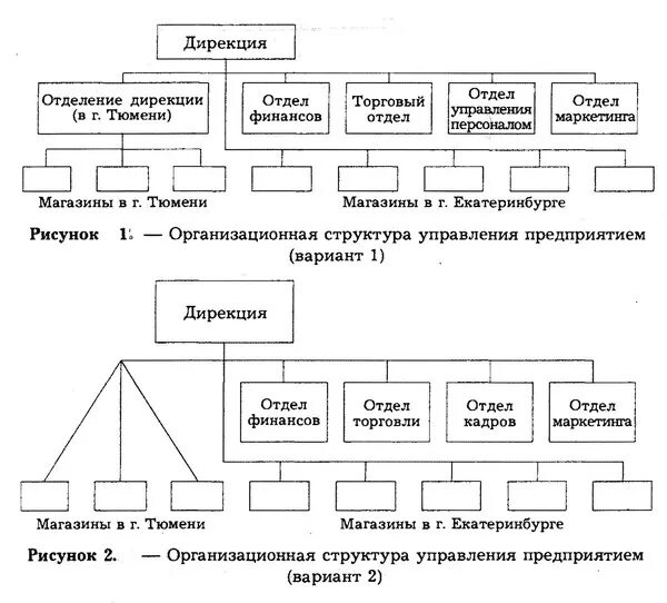 Определить вид структуры. Какая структура управления представлена на рисунке. типовой вариант организационной структуры. структура управления санкт-петербурга. 2 варианта оргструктуры.