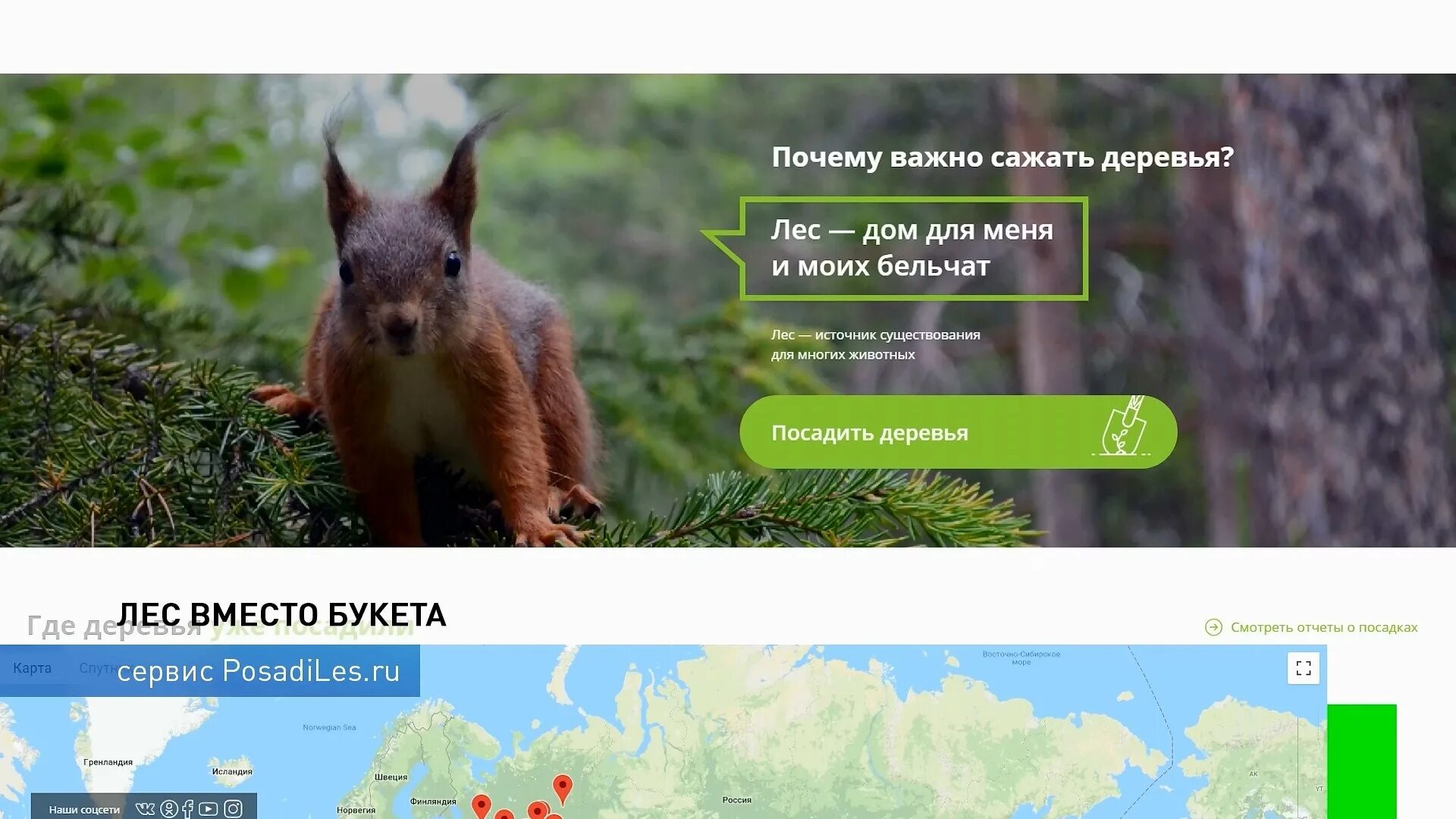Приложение где выращивают питомца