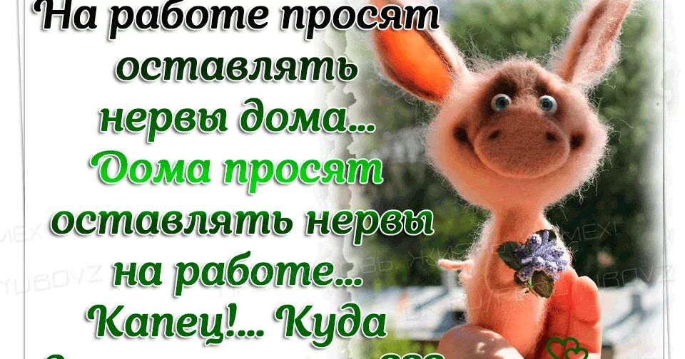 На ватсап смыслы картинка. Позитивные статусы. Статусы со смыслом. Веселые статусы. Прикольные статусы.