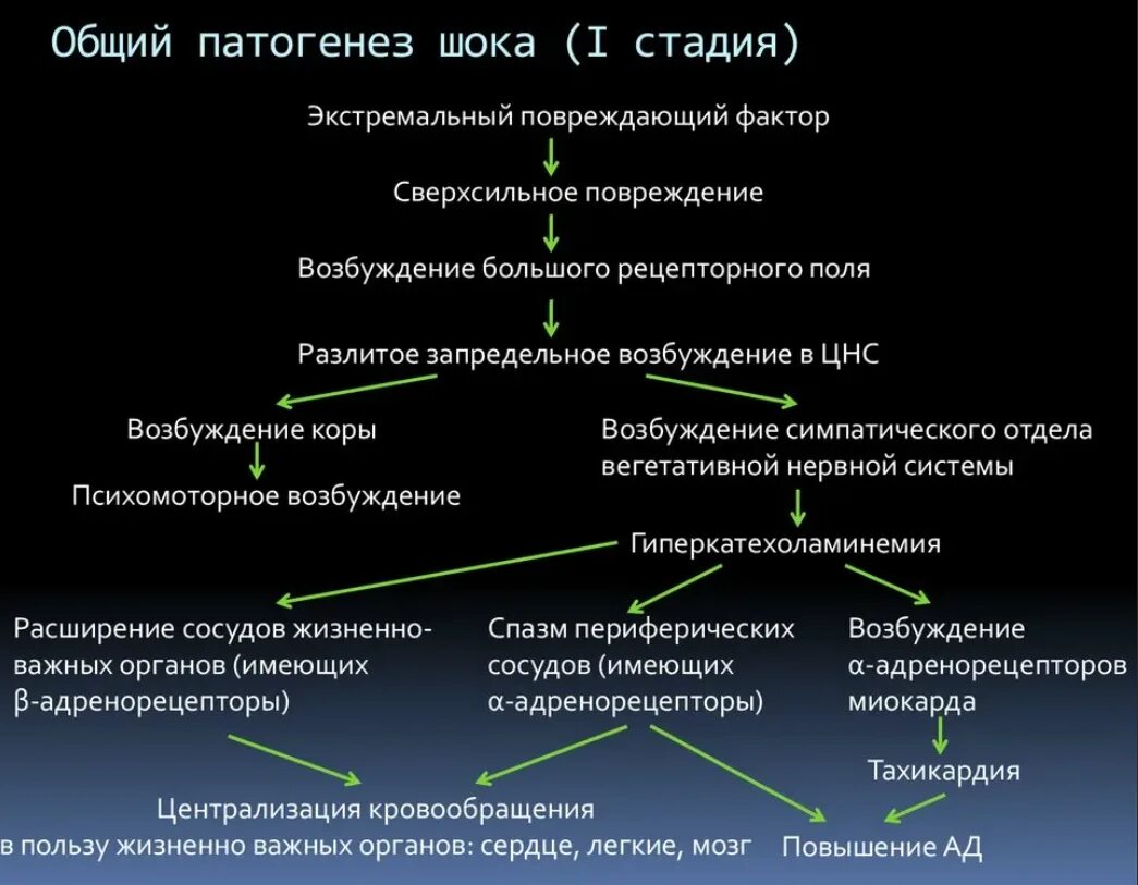 Общий патогенез шока патофизиология. Общие механизмы развития шока патофизиология. Патогенез геморрагического шока патофизиология. Общий патогенез шока стадии шока патофизиология. Общая этиология общий патогенез