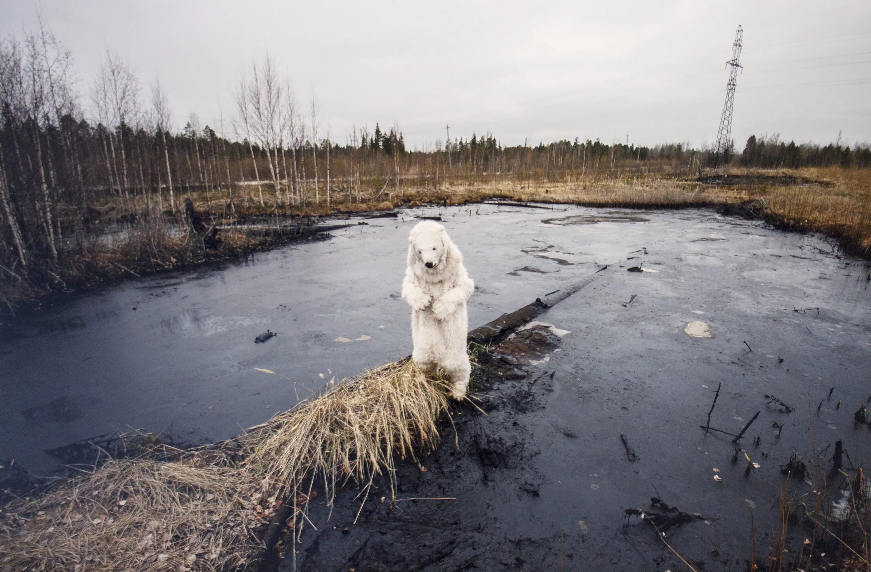 Экологическая обстановка в тундре. Разлив нефти в тундре. Экологическая катастрофа в тундре. Нефтяная катастрофа в Западной Сибири. Разлив нефти в Западной Сибири.