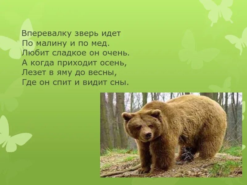 Почему медведь любит. Медведь любит мед. Мишка очень любит мед. Медведы любят мед. Медвежонок любит мед.