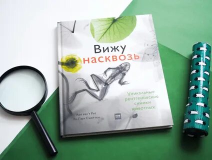 Мир книги видное