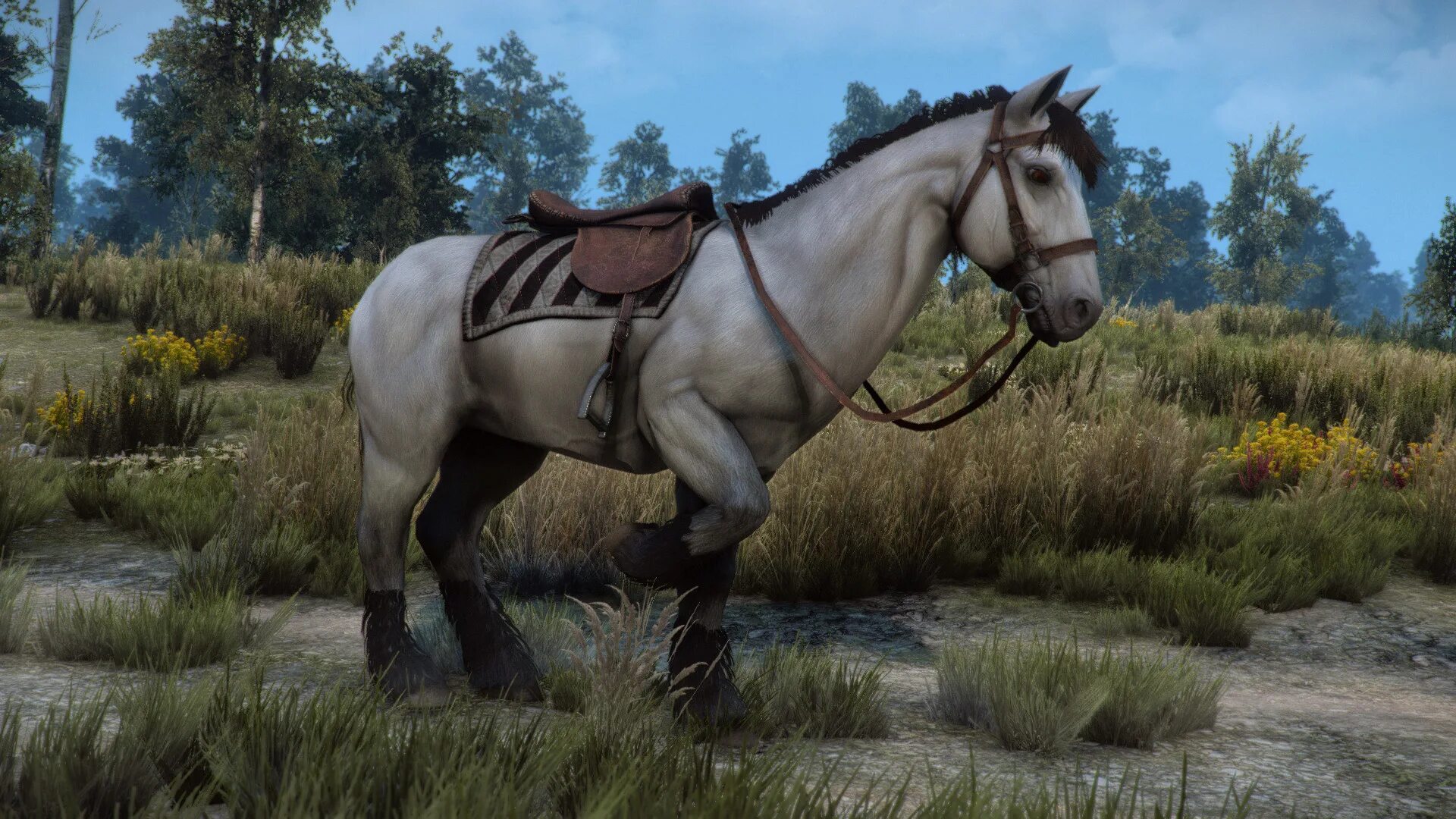 Плотва игра. Лошадь дикой охоты ведьмак 3. плотва ведьмак. witcher 3 плотва. плотва лошадь ведьмака.