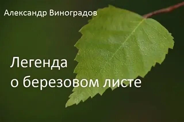 Виноград 56