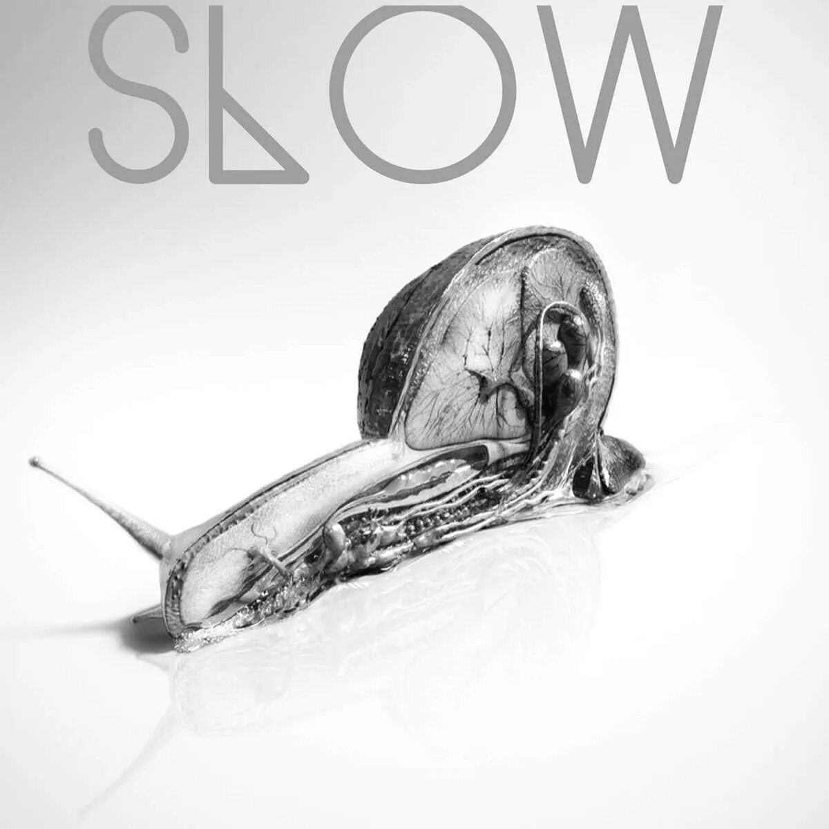 Follow you slowed. Follow you slowed. Монтон someone you loved. Follow you slowed. Follow you slowed.