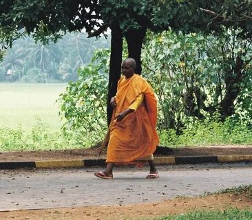 Buddha dll