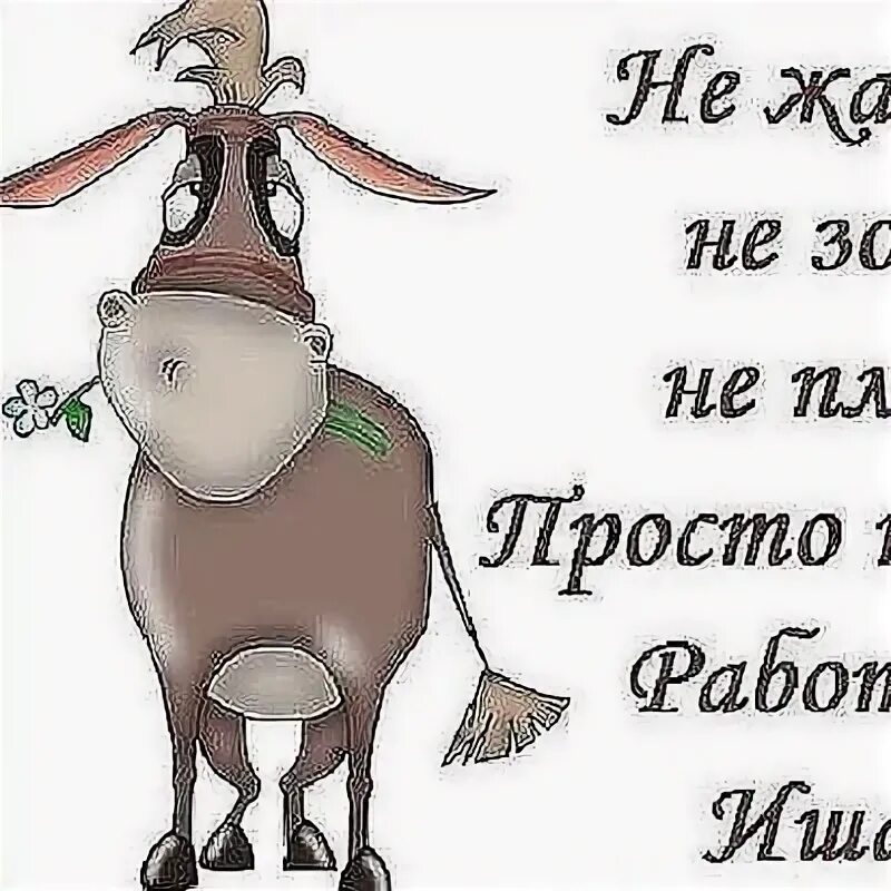 Что в субботу выходит на работу. Я люблю свою работу. я люблю свою работу стихотворение. бессмертный пони. я приду сюда в субботу.