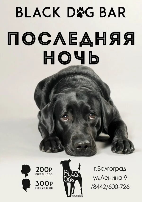 Брю дог конец истории. Брю дог Блэк Харт. Новинки от Black Dog. Блэк дог Кирова 108.