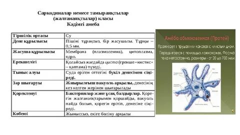 Әдемі қыздар иіліп қалды