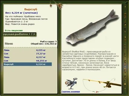 Озеро у деревни вырезуб реальная рыбалка деревня