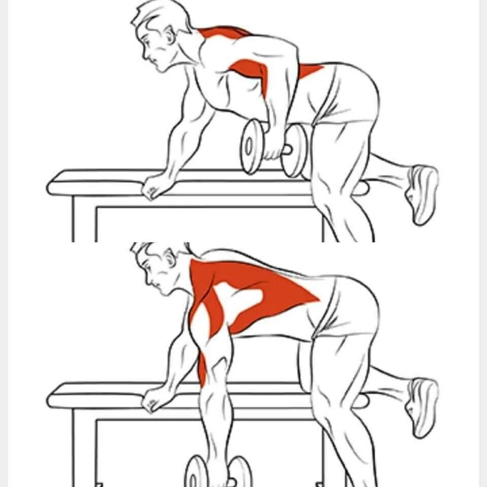 Как прокачать спину в домашних условиях. Упражнения для накачивания спины. Упражнения для прокачки мышц спины. Упражнения для накачки широчайших мышц спины. Как накачать широчайшие мышцы спины.