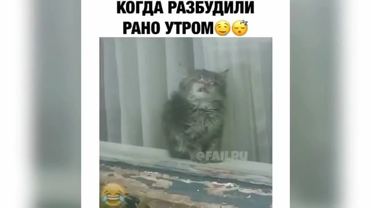Не будите рано песня. Когда разбудили. разбудили рано утром. подняли но не разбудили. подняли а разбудить забыли.