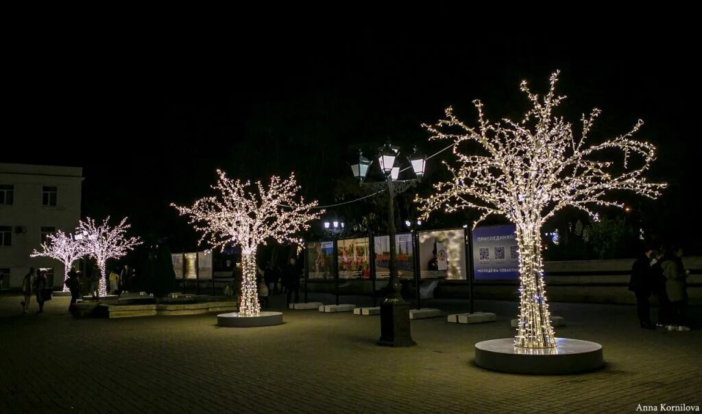 Главная елка симферополя 2020. Новогодний севастополь 2021. Новогодний севастополь 2022. Севастополь площадь нахимова новогодняя. Севастопольская елка 2020.