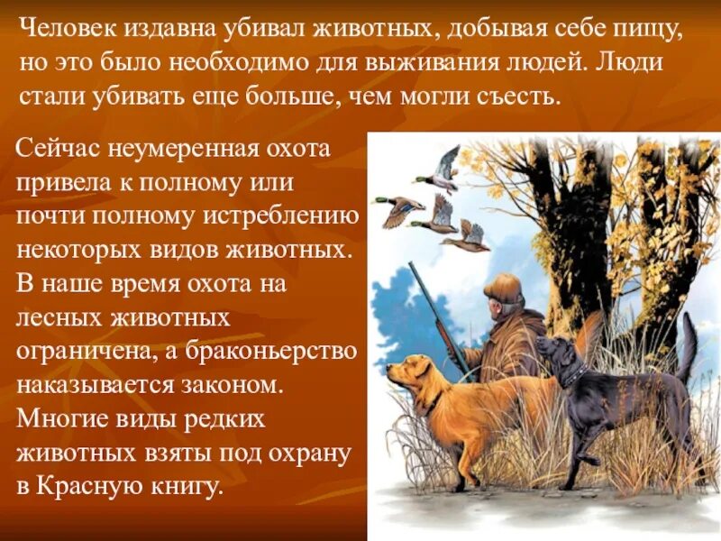 Сообщение на тему охота. Охота презентация. Презентация на тему охота. Сообщение о охоте. Былой рассказ