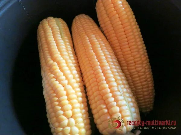 Кукуруза в початках 1шт. Мультиварка кукуруза в початках. Паровой варки кукурузы. Кукуруза в мультиварке. Кукуруза в мультиварке.