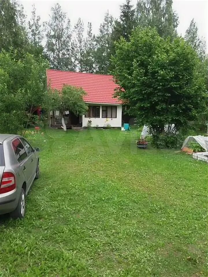 Садоводство дивное 2 дивенская. Погода большая дивенка лужский. Большая дивенка улица володарского. Дивенская поселок. Большая дивенка улица володарского.