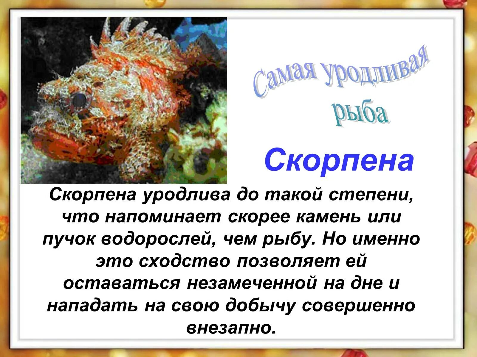 Информация про рыб. Презентация на тему рыбы. Рыба для презентации. Удивительные рыбы презентация. Информация о рыбках.