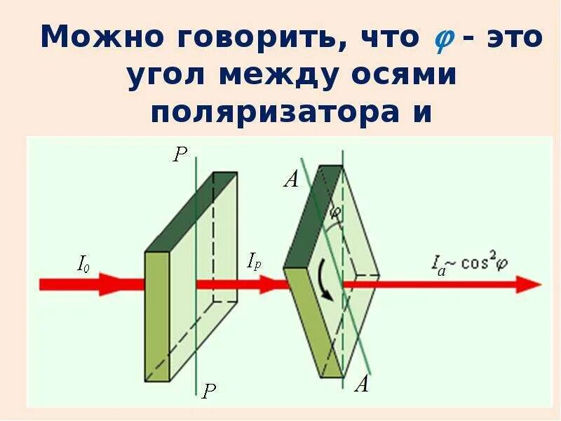 Поляризация рисунок. Поляризация света схема. Поляризованный свет схема. Схема неполяризованного света. Поляризация света опыт.