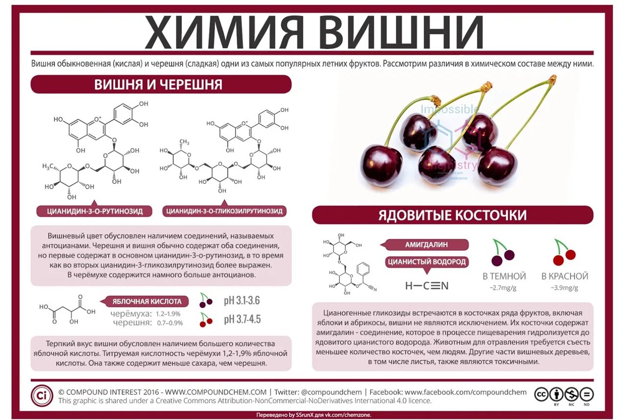 Химия. Химия вишни. Химическая формула вишни. Органическая химия. Условия использования содержатся в