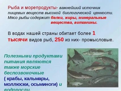 Какая рыба считается полезной