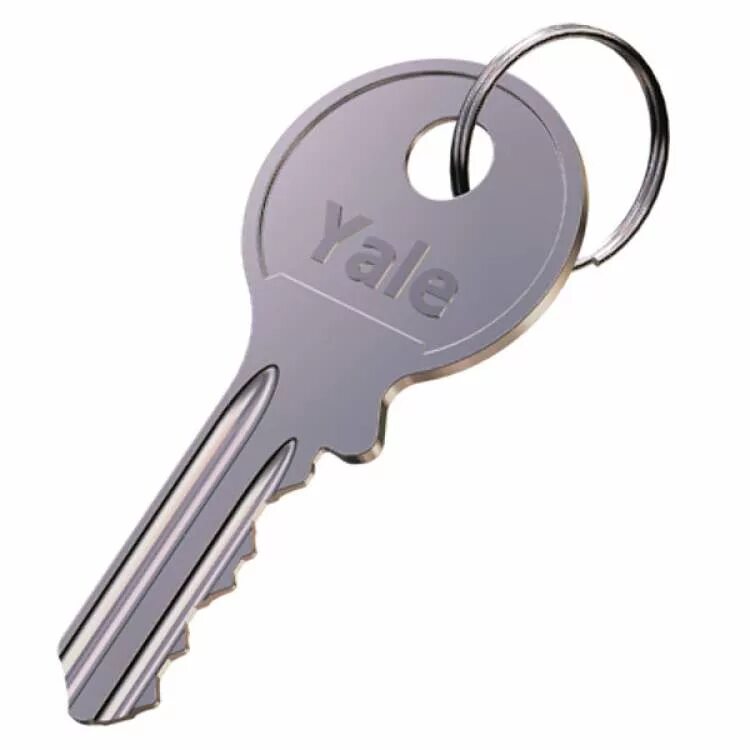 Peer key. Модель ключа. Ключ 3d. Макет ключа. Ключ с тремя штырями.