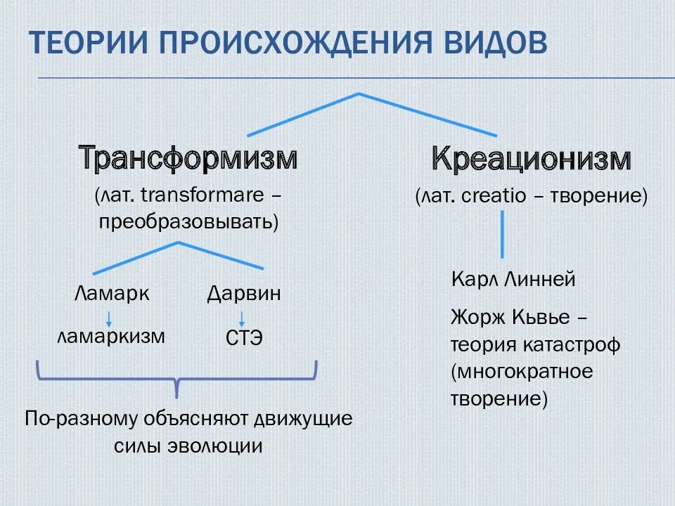 Теория зарождения жизни креационизм. Гипотеза креационизма. Креационизм и эволюционизм. Теория эволюции креационизм. Креационизм в исламе.