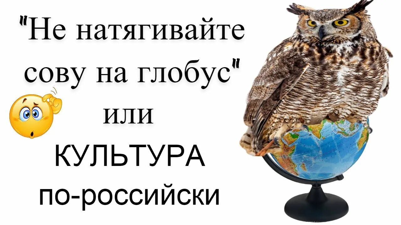 Сова на глобусе. Натягивание Совы на Глобус. Сова натянутая на Глобус. Сова натягивается на Глобус.